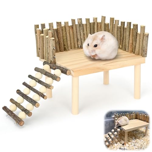 aleawol Holzhamster Kletterplattform, Hamster Aktivität Plattform mit Leiter Hamsterplattform Kletterzubehör mit Zaun Kleintier Stehplattform für Parror Rennmaus Eichhörnchen Golden Bear Spielzeug von aleawol