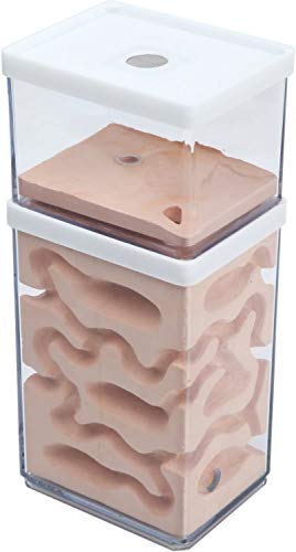 aleawol Natürliche Ameisenfarm Ameisennest Formicarium aus Gips Transparentes Ameisenhaus Ameisen Zucht Box Ameisen Terrarium House Ant Farm Ant Nest Habitat von aleawol