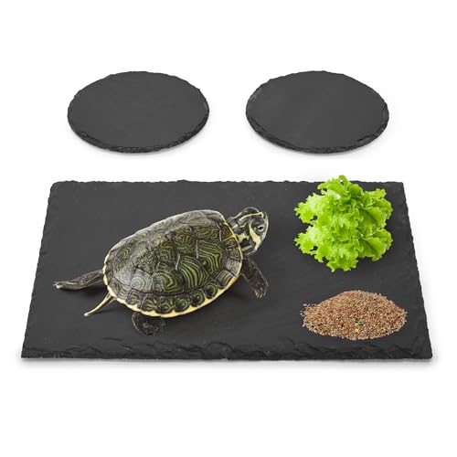 aleawol Schieferplatte für Schildkröten, Eidechsen, Geckos, Schlangen, rechteckig, Naturschildkröte, Schiefer, 3 Stück von aleawol
