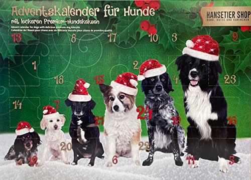 Alfavet Adventskalender 2022 für Hunde, 24 natürliche Snacks, Weihnachtskalender getreidefrei ohne Zusatzstoffe, 175 g (1er Pack) von alfavet