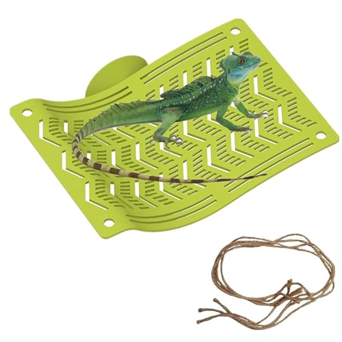 2-in-1 Bartagamen-Hängematte mit Saugnäpfen, Frosch-Eidechsen-Hängematten, Hängeschaukelwiege für Chamäleon, Eidechsen, Geckos, Schlangen, Lguana, Reptilien & Amphibien, Lebensraum Dekor (Grün, Klein) 2-in-1 Bartagamen-Hängematte mit Saugnäpfen, Frosch-Eidechsen-Hängematten, Hängeschaukelwiege für Chamäleon, Eidechsen, Geckos, Schlangen, Lguana, Reptilien & Amphibien, Lebensraum Dekor (Grün, Klein) von alfyng