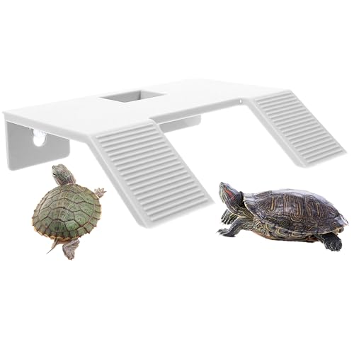 Schildkröten-Rampe für Schildkröten, Doppelleiter, Terrasse, für Frosch, Terrapin, Reptilien, Amphibien, Lebensraum, Versteck (weiß, klein) von alfyng