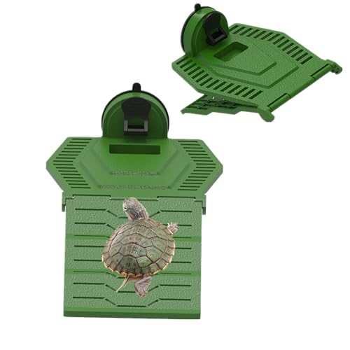 Sonnenplattform für Schildkröten, Ruheplattform, Schildkrötenrampe, Kletterleiter, Ruheterrasse für Frosch, Terrapin Reptilien, Amphibien, Lebensraum, Verstecken für Aquarium, schwimmendes Dock (Grün, Sonnenplattform für Schildkröten, Ruheplattform, Schildkrötenrampe, Kletterleiter, Ruheterrasse für Frosch, Terrapin Reptilien, Amphibien, Lebensraum, Verstecken für Aquarium, schwimmendes Dock (Grün, von alfyng
