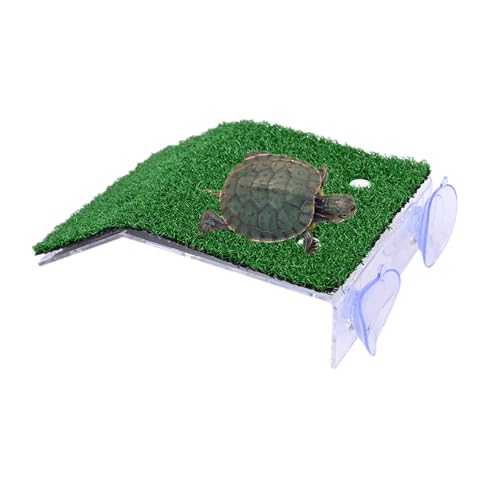 alfyng Kleine Schildkröten-Plattform, Schildkrötenrampe, Reptilienleiter, für Terrassen und Aquarien, schwimmende Dekoration für kleine Reptilien, Frosch, Terrapin (9,5 x 8 x 3,7 cm) von alfyng