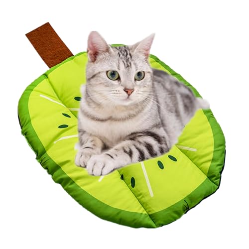 alfyng Pet Dog Pad, Pet Cat Puppy Portable Washable Mat Cute Fruit Pattern Mat Cushion Pad Summer Bed Sleeping Mattress Cushions Dogs Seat (Kiwi) von alfyng