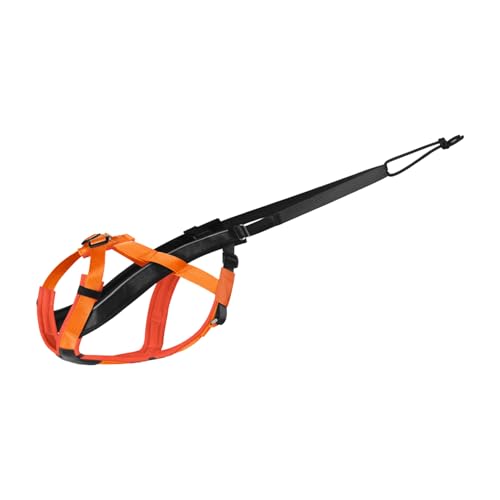 Einstellbarer Hundeschlittengurt Für Große Rassen Reflektierender Winter Canicross Scootering Securityt Winter Hundeausrüstung von alloneslife
