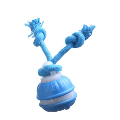 Jumping Hundeballspielzeug Spielzeug ABS Chew Proof Design Stimuliert Training Reduziert Bordom Für Aktive Haustier Bouncing Ballspielzeug Für Aktive Hunde Jumping Hundeballspielzeug Spielzeug ABS Chew Proof Design Stimuliert Training Reduziert Bordom Für Aktive Haustier Bouncing Ballspielzeug Für Aktive Hunde von alloneslife