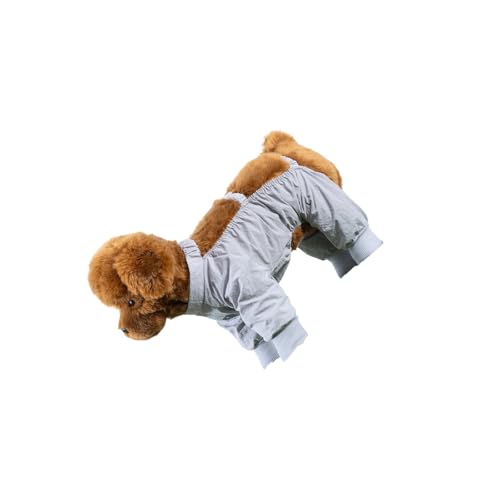 Mädchen-Hunde-Overall, Kostüm, Bekleidung, Pullover, wasserdichtes Hemd für Welpen, Sweatshirt, Foto-Requisiten, Schutzkleidung, Outdoor von alloneslife