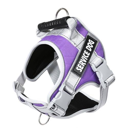 alloneslife Hundegeschirr für große Hunde, reflektierendes Hundegeschirr für kleine Hunde, Halsband, Hundeweste, Geschirr und Leine, verstellbare Leine, Größe S, Violett alloneslife Hundegeschirr für große Hunde, reflektierendes Hundegeschirr für kleine Hunde, Halsband, Hundeweste, Geschirr und Leine, verstellbare Leine, Größe S, Violett von alloneslife