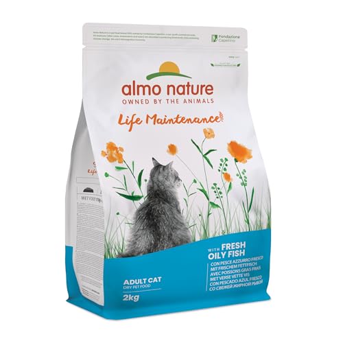 Almo Nature Holistic Adult Cat Maintenance mit Frischem Fettfisch- Trockenfutter für Katzen aller Rassen 2Kg von almo nature