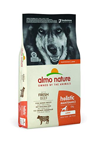 almo nature Holistic Adult Dog Maintenance Large mit Frischem Rind- Komplett-Trockenfutter für ausgewachsene Hunde,- grosser Rassen - 12kg von almo nature