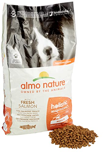 Almo Nature Holistic Adult Dog Maintenance Medium - mit Frischem Lachs und Reis, Komplett Trockenfutter für ausgewachsene Hunde - mittelgrosser Rassen - 12kg von almo nature