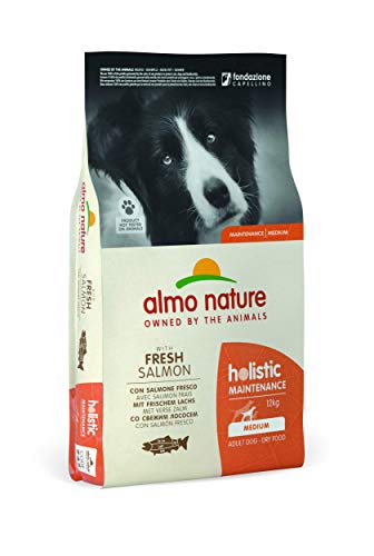 Almo Nature Holistic Adult Dog Maintenance Medium - mit Frischem Lachs und Reis, Komplett Trockenfutter für ausgewachsene Hunde - mittelgrosser Rassen - 12kg von almo nature