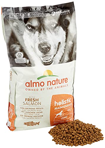 Almo Nature Holistic Adult Dog Maintenance Large - mit Frischem Lachs und Reis , Komplett Trockenfutter für ausgewachsene Hunde - grosser Rassen - 12kg von almo nature