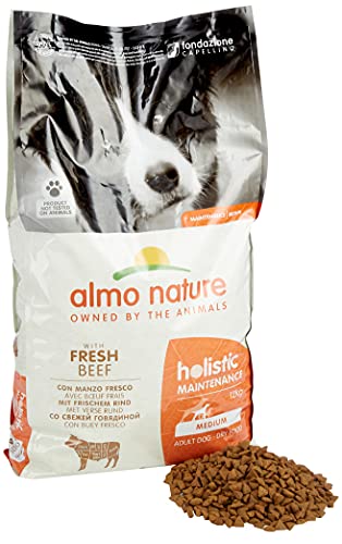 almo nature Holistic Adult Dog Maintenance Medium - mit Frischem Rind, Komplett Trockenfutter für ausgewachsene Hunde - mittelgrosser Rassen - 12kg von almo nature
