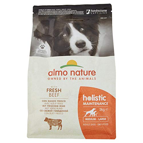almo nature Holistic Dog Erwachsene medium Hunde Trockenfutter Rind und Reis 2kg von almo nature