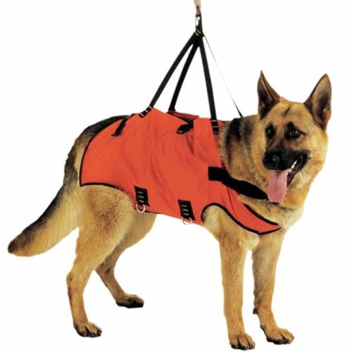 Hundegeschirr Typ Weste für Taxi Dog Harness für Rettungshunde Größe 2 von alp design