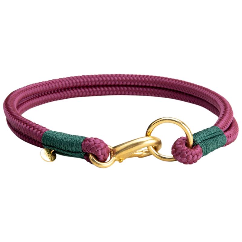 alsa-brand Hundehalsband Bolle aubergine-tannengrün, Länge: ca. 40 cm, Durchmesser:  2 x ca. 8 mm von alsa-brand