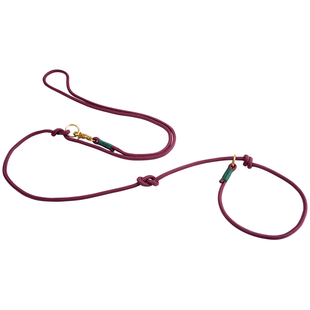 alsa-brand Retriever-Führleine Ole aubergine-tannengrün, Länge: ca. 2 m, Durchmesser: ca. 10 mm alsa-brand Retriever-Führleine Ole aubergine-tannengrün, Länge: ca. 2 m, Durchmesser: ca. 10 mm von alsa-brand