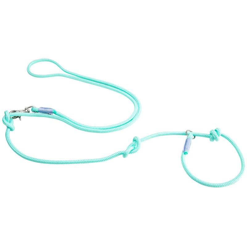 alsa-brand Retriever-Führleine Ole mint-flieder, Länge: ca. 2 m, Durchmesser:  ca. 10 mm von alsa-brand