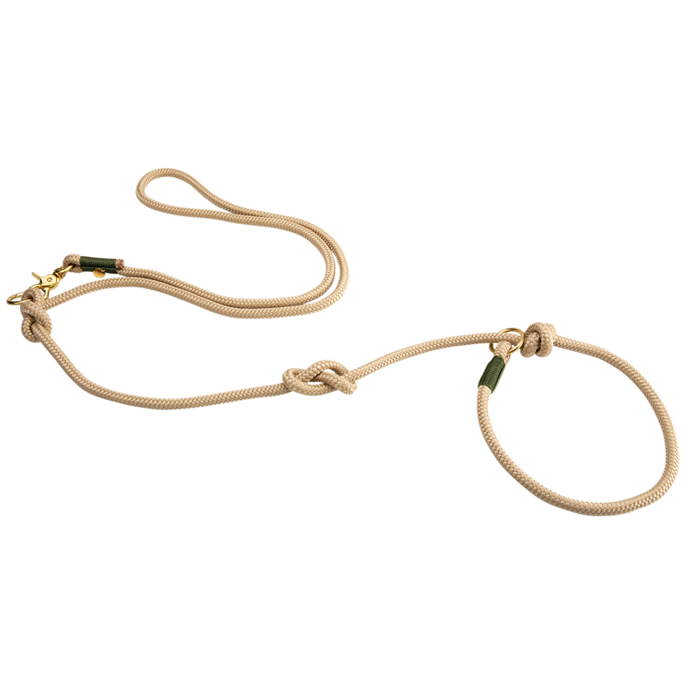 alsa-brand Retriever-Führleine Ole sand-oliv, Länge: ca. 2 m, Durchmesser: ca. 10 mm alsa-brand Retriever-Führleine Ole sand-oliv, Länge: ca. 2 m, Durchmesser: ca. 10 mm von alsa-brand
