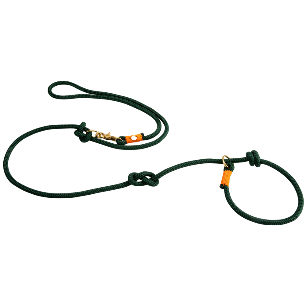 alsa-brand Retriever-Führleine Ole tannengrün-orange, Länge: ca. 2 m, Durchmesser: ca. 10 mm alsa-brand Retriever-Führleine Ole tannengrün-orange, Länge: ca. 2 m, Durchmesser: ca. 10 mm von alsa-brand