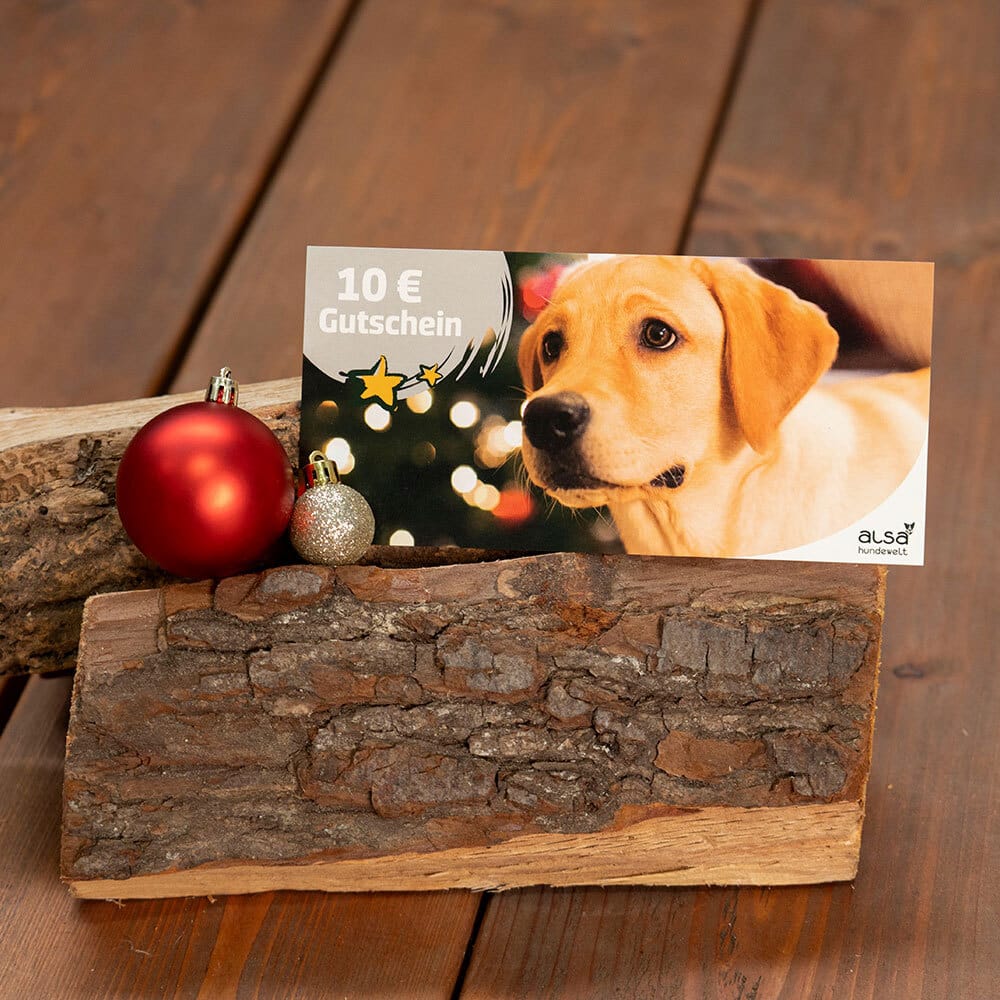 XMAS Geschenk-Gutschein 10,- € von alsa-hundewelt