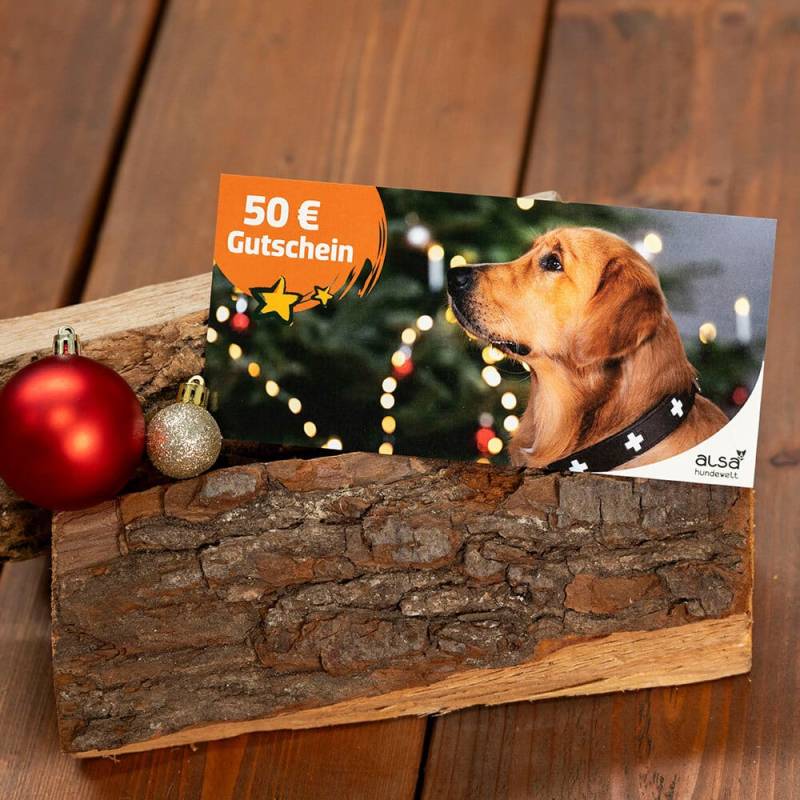 XMAS Geschenk-Gutschein 50,- € XMAS Geschenk-Gutschein 50,- € von alsa-hundewelt