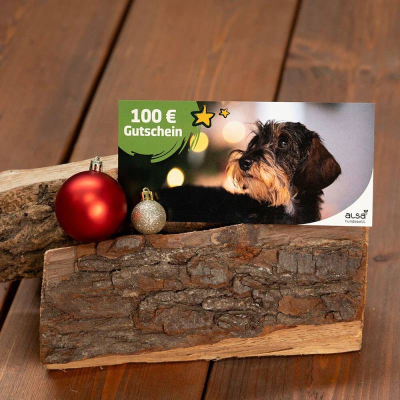 XMAS Geschenk-Gutschein 100,- € von alsa-nature