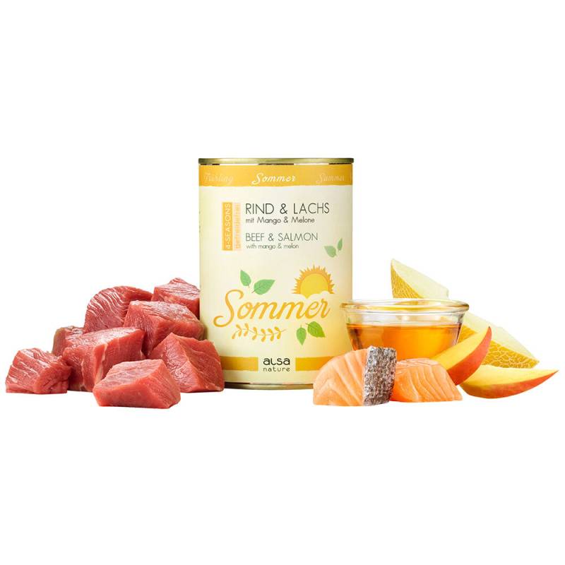 alsa-nature 4-SEASONS Sommer-Menü mit Rind & Lachs mit Mango und Melone, Anzahl: 6 x 400 g, 400 g, Hundefutter nass alsa-nature 4-SEASONS Sommer-Menü mit Rind & Lachs mit Mango und Melone, Anzahl: 6 x 400 g, 400 g, Hundefutter nass von alsa-nature