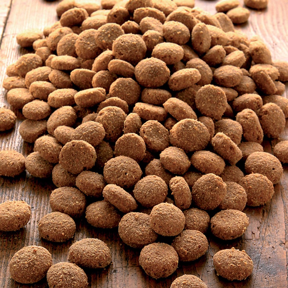 alsa-nature Aktiv Spezial Protein Trockenfutter, 12 kg, Hundefutter trocken von alsa-nature
