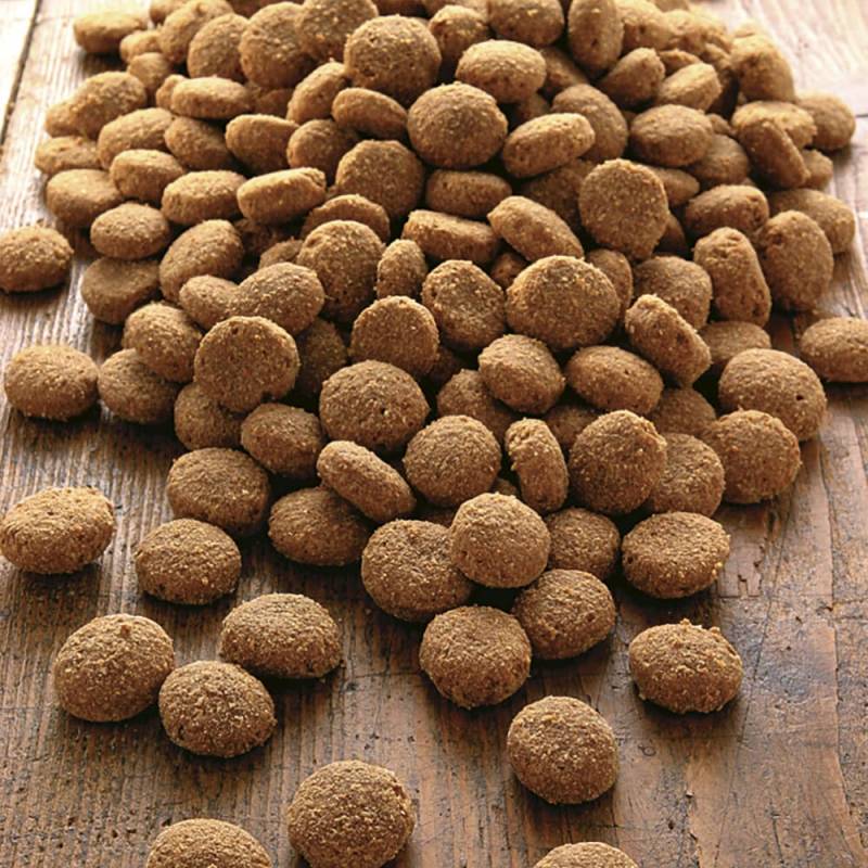 alsa-nature Aktiv Spezial Protein Trockenfutter, 3 kg, Hundefutter trocken von alsa-nature