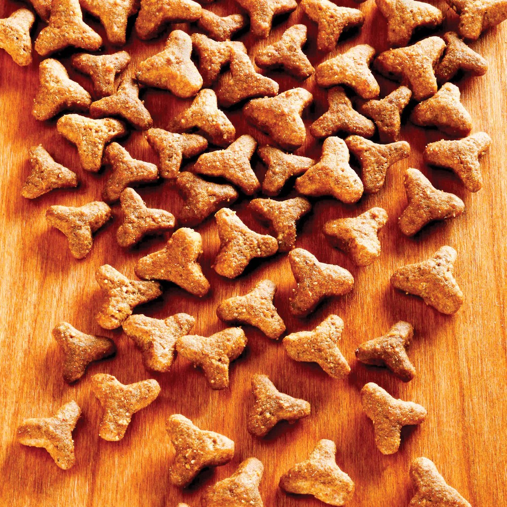 alsa-nature Basic Trockenfutter, 2 x 1,5 kg, Katzenfutter trocken alsa-nature Basic Trockenfutter, 2 x 1,5 kg, Katzenfutter trocken von alsa-nature
