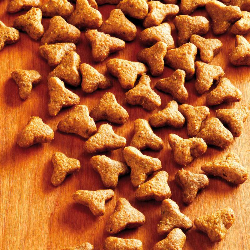 alsa-nature Delicate Trockenfutter, 2 x 1,5 kg, Katzenfutter trocken von alsa-nature