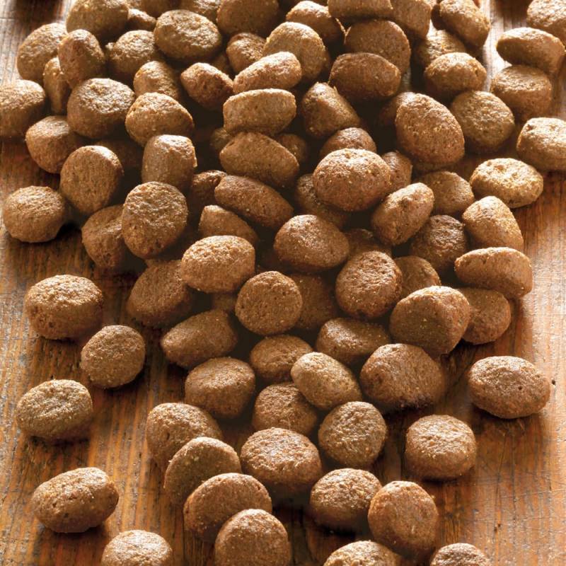 alsa-nature Geflügel & Kartoffel getreidefrei Trockenfutter, 3 kg, Hundefutter trocken alsa-nature Geflügel & Kartoffel getreidefrei Trockenfutter, 3 kg, Hundefutter trocken von alsa-nature