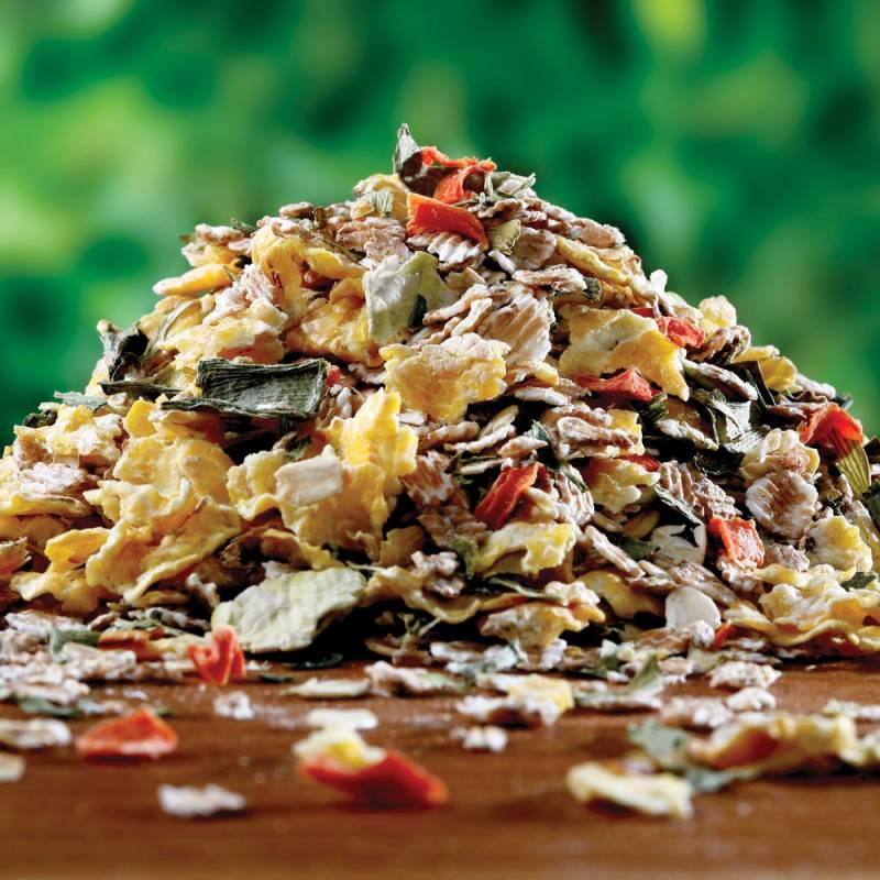 alsa-nature Gemüse & Korn Schonkost, 3 kg, Hundefutter alsa-nature Gemüse & Korn Schonkost, 3 kg, Hundefutter von alsa-nature