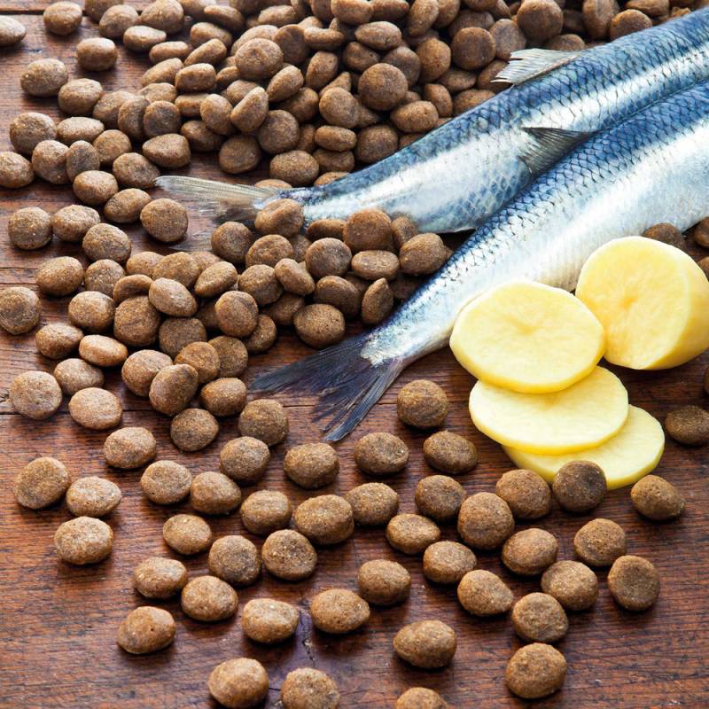 alsa-nature Hering & Kartoffel getreidefrei Trockenfutter, 3 kg, Hundefutter trocken von alsa-nature