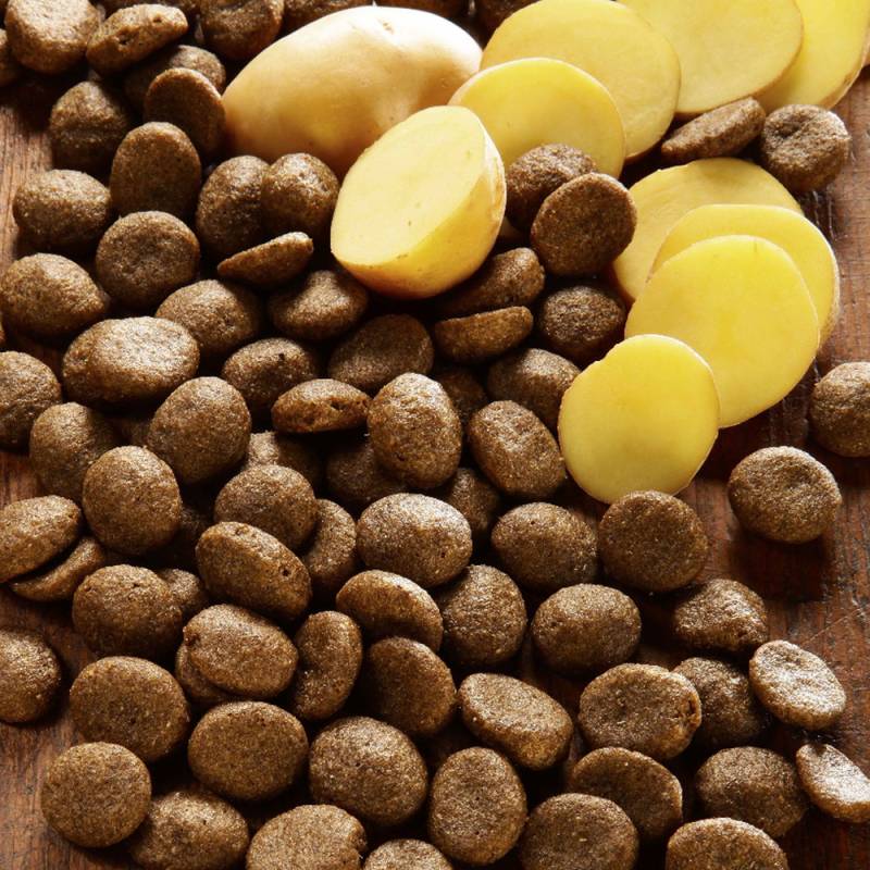 alsa-nature Hirsch & Kartoffel getreidefrei Trockenfutter, 1,5 kg, Hundefutter trocken alsa-nature Hirsch & Kartoffel getreidefrei Trockenfutter, 1,5 kg, Hundefutter trocken von alsa-nature