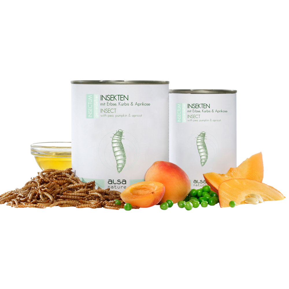 alsa-nature INSECTUM Insekten mit Erbse, Kürbis & Aprikose, Anzahl: 6 x 375 g, 375 g, Hundefutter nass von alsa-nature