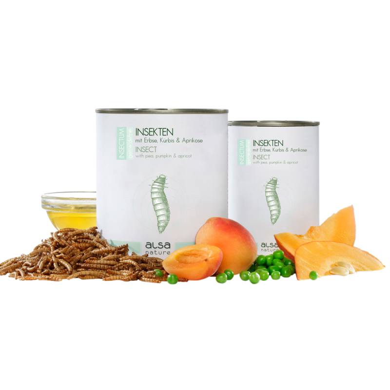 alsa-nature INSECTUM Insekten mit Erbse, Kürbis & Aprikose, Anzahl: 6 x 375 g, 375 g, Hundefutter nass von alsa-nature