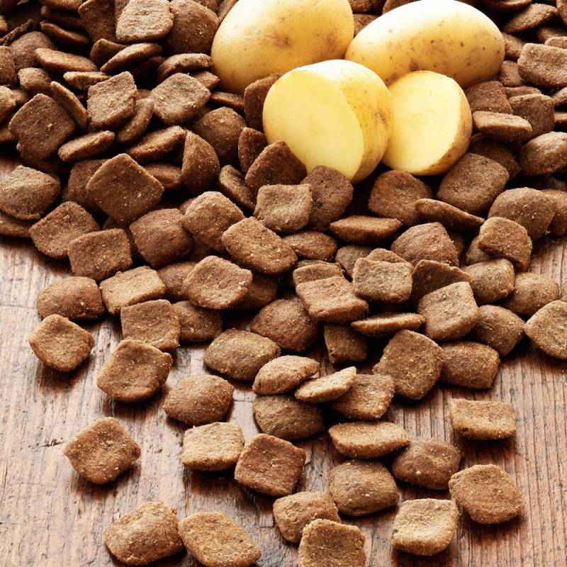 alsa-nature INSECTUM Kartoffel Trockenfutter, 2 x 12 kg, Hundefutter trocken von alsa-nature