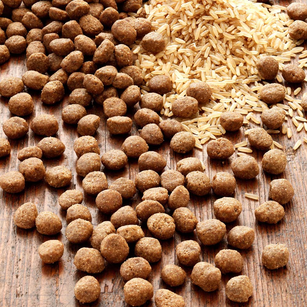 alsa-nature INSECTUM Reis Trockenfutter, 12 kg, Hundefutter trocken von alsa-nature