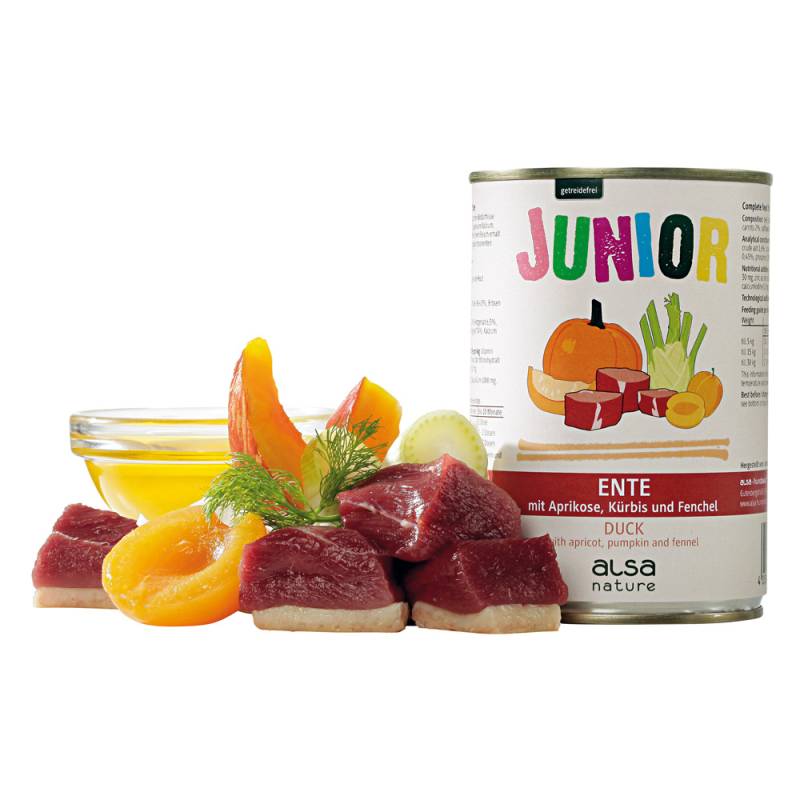 alsa-nature JUNIOR Ente mit Aprikose, Kürbis & Fenchel, Anzahl: 12 x 400 g, 400 g, Hundefutter nass von alsa-nature