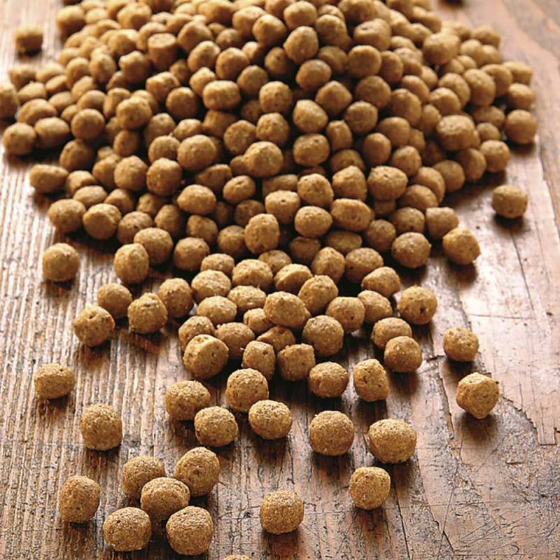 alsa-nature Junior Medial Protein Trockenfutter, 1,5 kg, Hundefutter trocken von alsa-nature