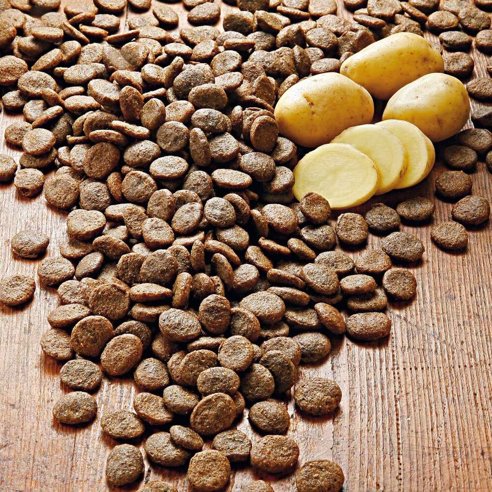 alsa-nature Lamm & Kartoffel getreidefrei Trockenfutter, 1,5 kg, Hundefutter trocken alsa-nature Lamm & Kartoffel getreidefrei Trockenfutter, 1,5 kg, Hundefutter trocken von alsa-nature