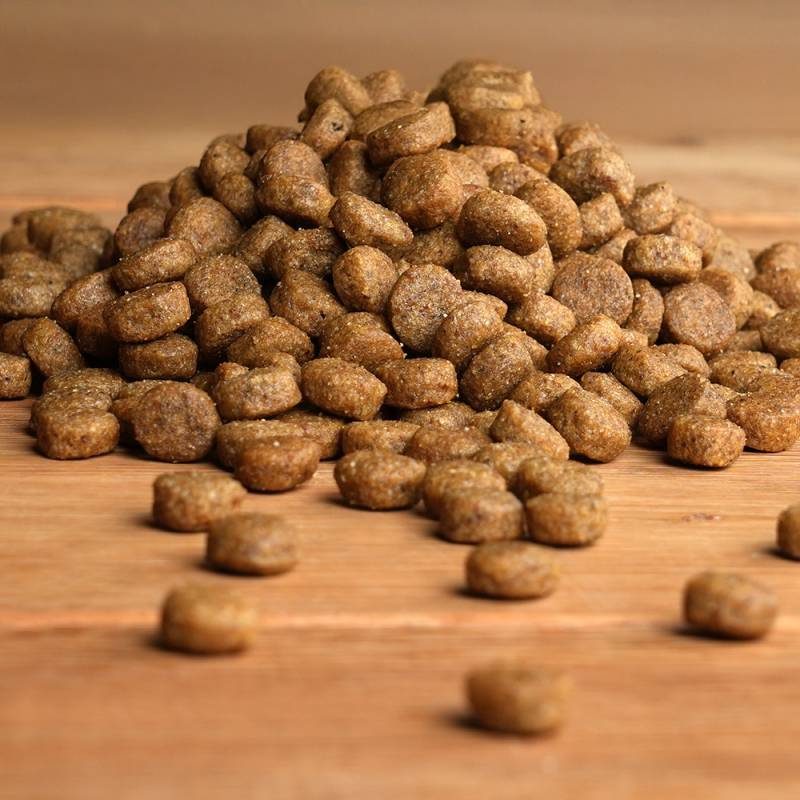 alsa-nature Leber-Diät Trockenfutter, 1,5 kg, Hundefutter trocken alsa-nature Leber-Diät Trockenfutter, 1,5 kg, Hundefutter trocken von alsa-nature