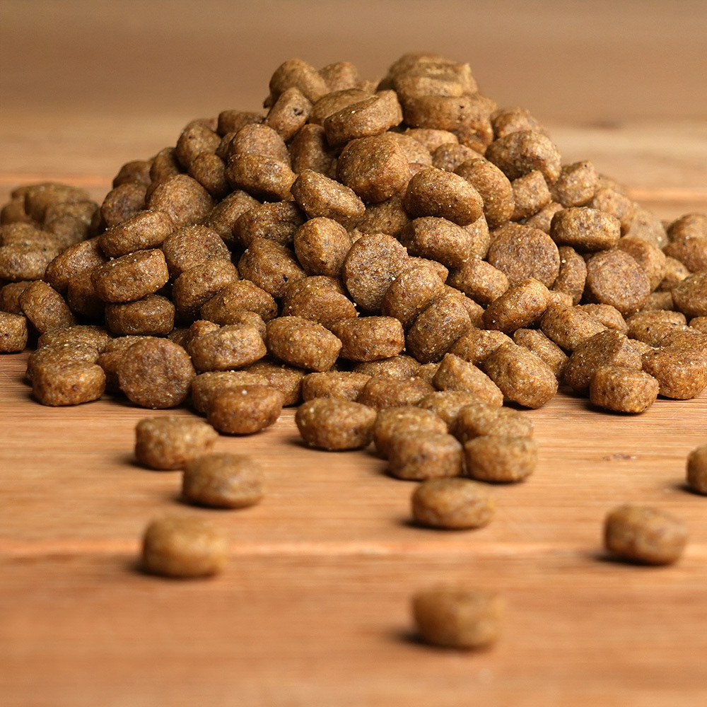 alsa-nature Leber-Diät Trockenfutter, 12 kg, Hundefutter trocken von alsa-nature