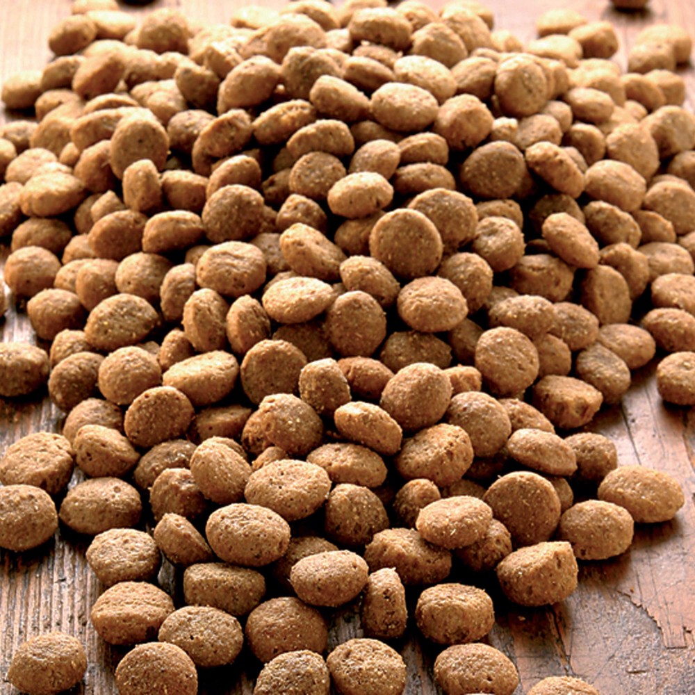 alsa-nature Light Spezial Protein Trockenfutter, 1,5 kg, Hundefutter trocken von alsa-nature