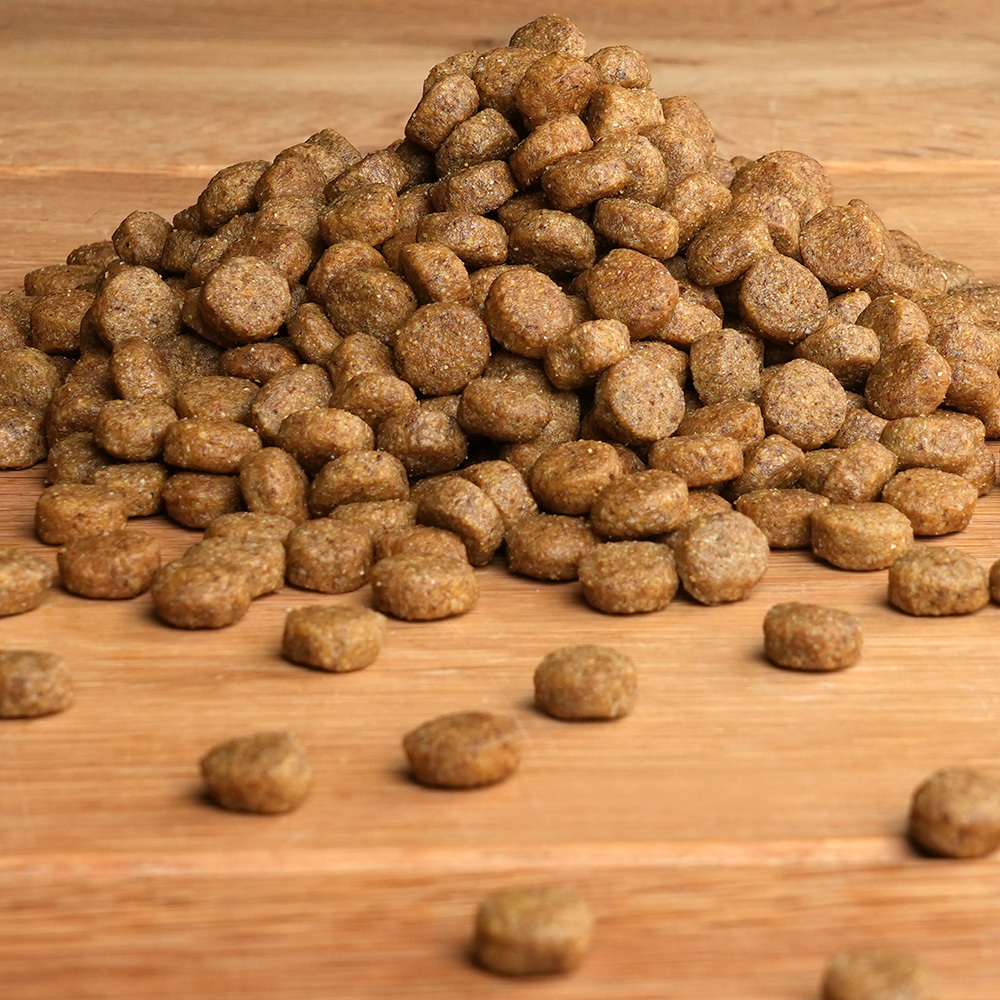 alsa-nature Nieren-Diät Trockenfutter, 1,5 kg, Hundefutter trocken von alsa-nature