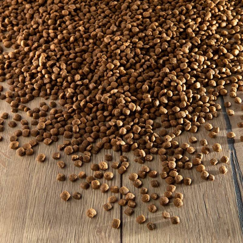 alsa-nature Sensitiv Pferd & Kartoffel getreidefrei Trockenfutter, 3 kg, Hundefutter trocken alsa-nature Sensitiv Pferd & Kartoffel getreidefrei Trockenfutter, 3 kg, Hundefutter trocken von alsa-nature